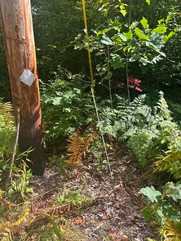 531 Mason Rd, Ashby, MA 01431 - Image #3