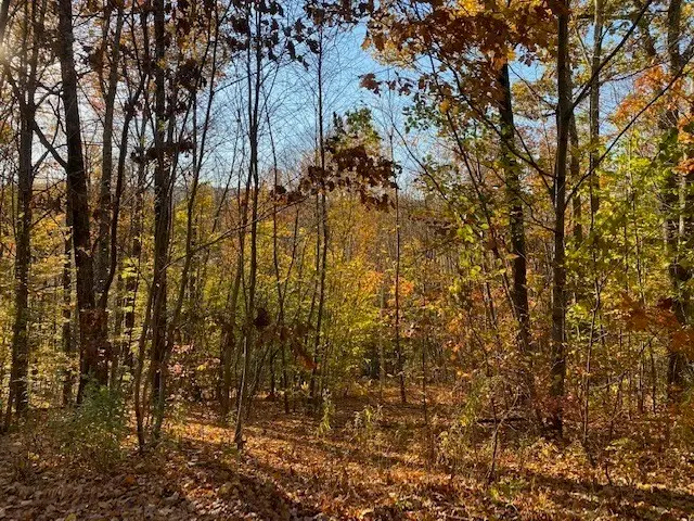 539 Fox Hill Road, Bernardston, MA 01337 - Image #1