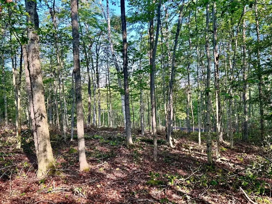 0 East Hoosac St, Adams, MA 01220 - Image #3