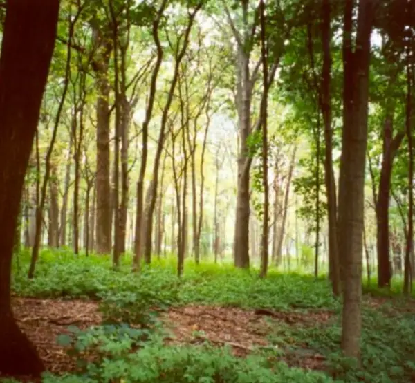 LOT 4 Winterberry Ln, Easton, MA 02356