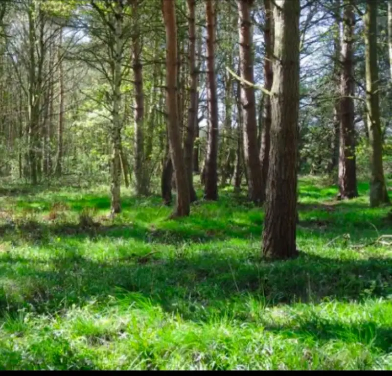 LOT 2 Winterberry Ln, North Easton, MA 02256 - Image #1