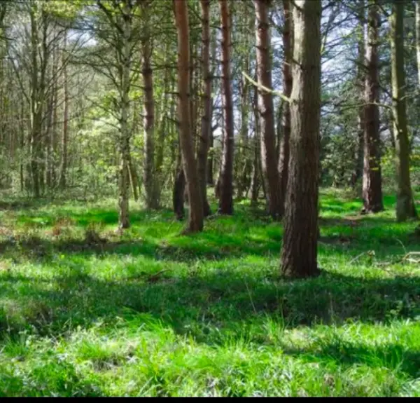 LOT 2 Winterberry Ln, Easton, MA 02256