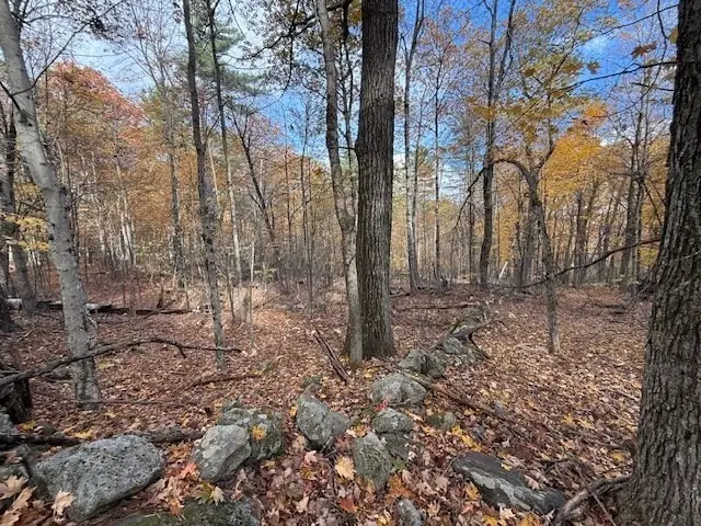 0 Tract Of Land, Ashby, MA 01431 - Image #3