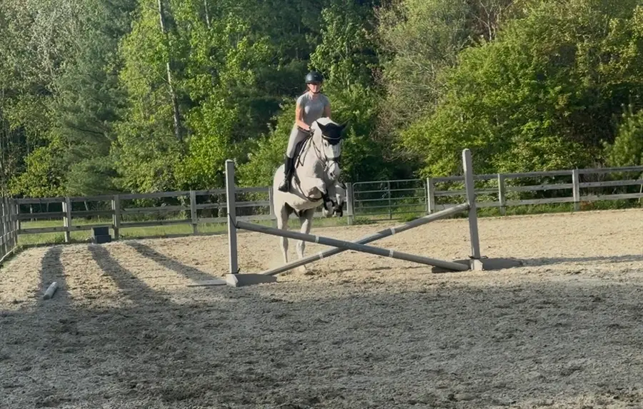 3 Shining Valley Cir, Medfield, MA 02052 - Image #2