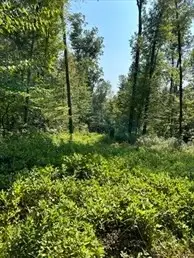 183 Se Main Street, Douglas, MA 01516 - Image #3