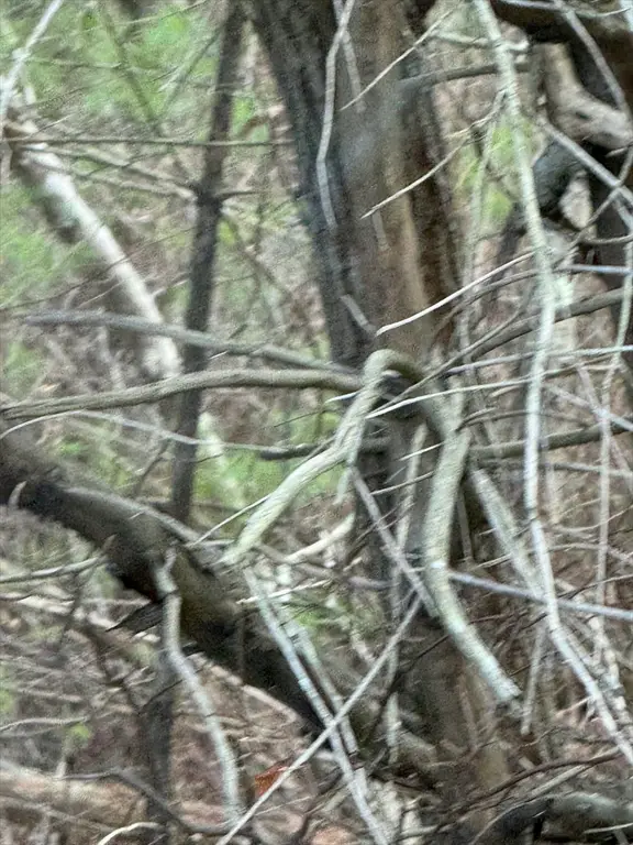 51 Holly Pond, Marion, MA 02738 - Image #1