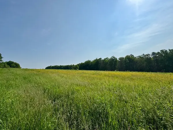 0 Hunt Road, Hawley, MA 01339