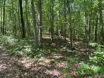 13 Perry St, Douglas, MA 01516 - Image #2