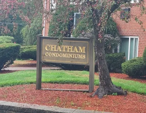 38 Carey Avenue #6, Watertown, MA 02472 - Image #2