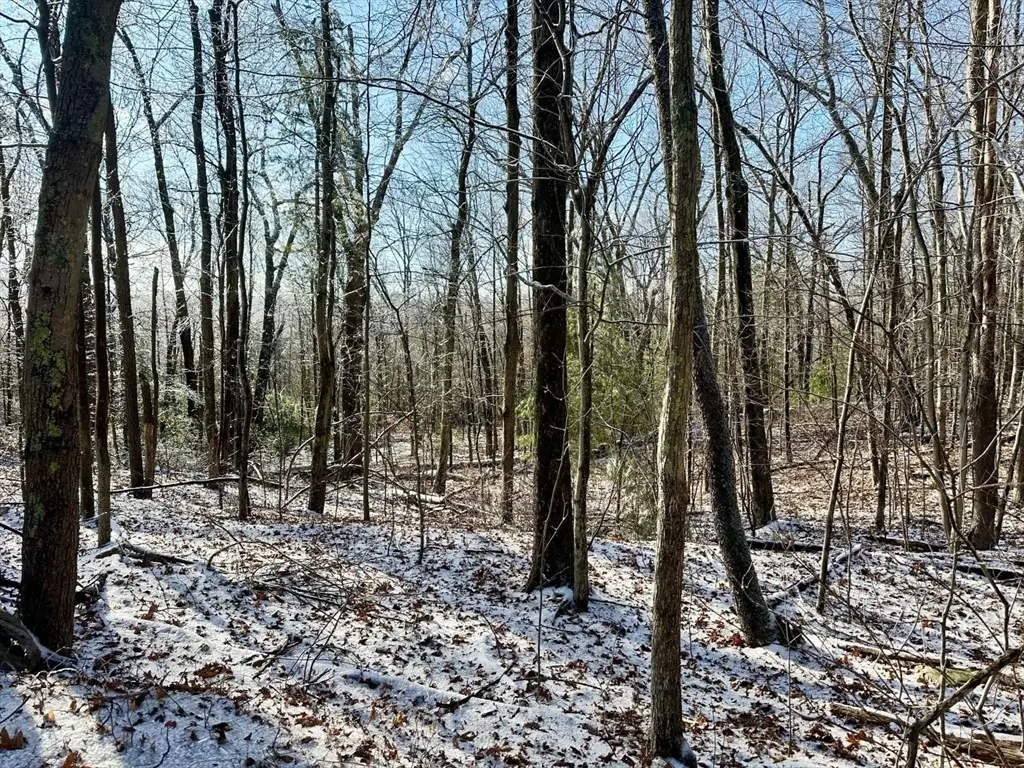 99 Burbank Road Lot 182, Sutton, MA 01590 - Image #1