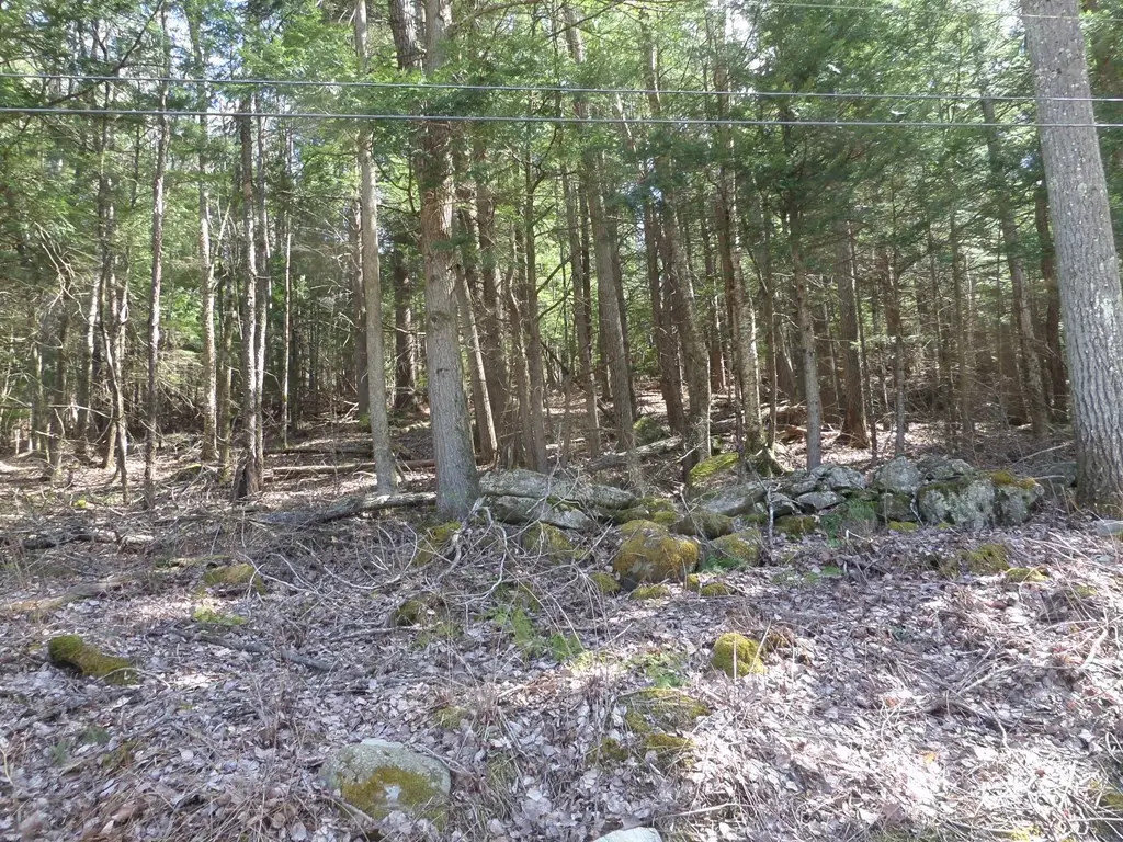 LOT 1 Thayer Hill Road, Worthington, MA 01098 - #1