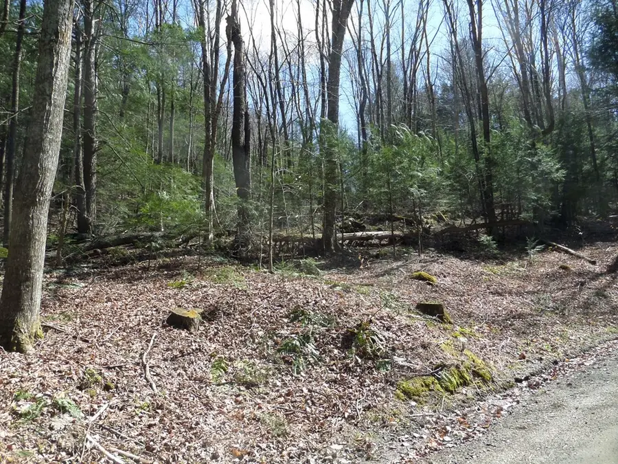 LOT 1 Thayer Hill Road, Worthington, MA 01098 - #2