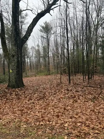 0 Wendell Depot Rd, Wendell, MA 01379 - Image #1