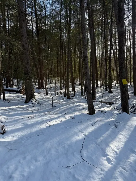 0 Four Mile Brook Rd, Northfield, MA 01360 - Image #3