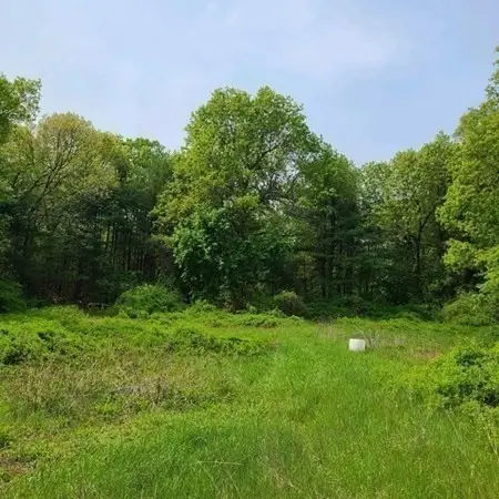 301 Tinkham, Springfield, MA 01129 - Image #1