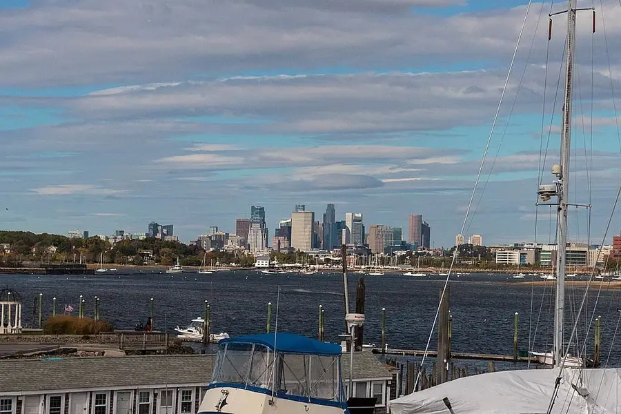 171 Walnut #4, Boston, MA 02122 - Image #3