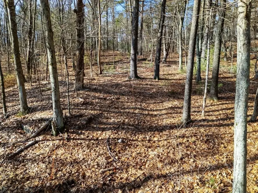 429 Howard Street, Northborough, MA 01532 - #3