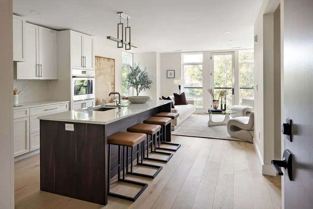 20 Kinmonth Rd #201, Newton, MA 02468 - Image #1