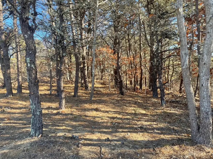 2 Resolution Rd, Truro, MA 02666 - Image #2