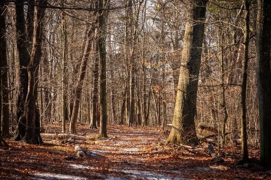 0 Belcher, Essex, MA 01929 - Image #2