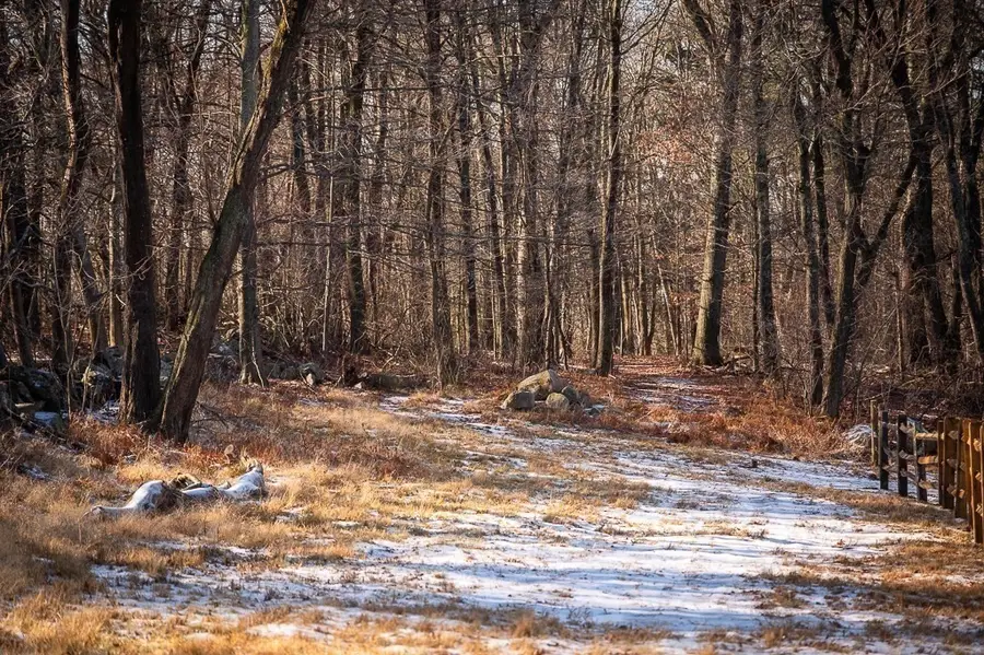 0 Belcher, Essex, MA 01929 - Image #3