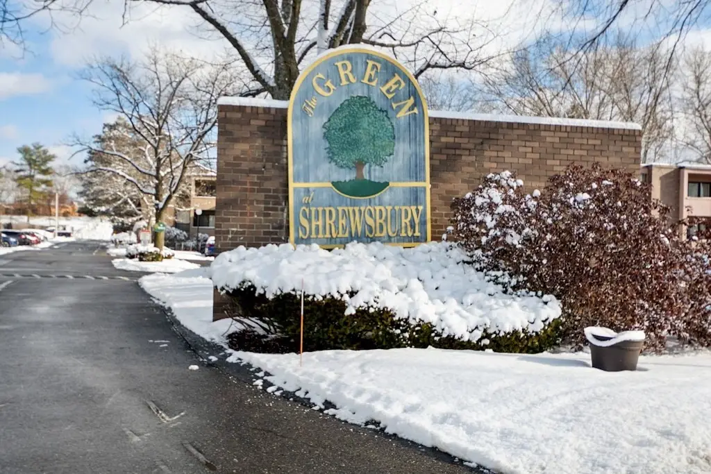 18 Shrewsbury Green Dr #I, Shrewsbury, MA 01545 - Image #1