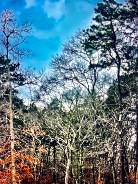 2 Old Farms Trail, Edgartown, MA 02539