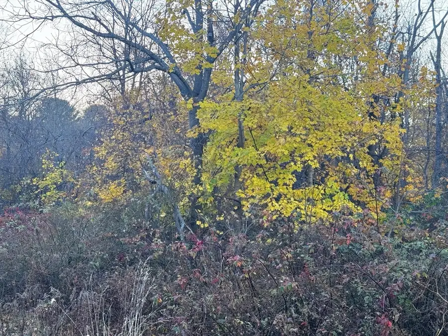 Lot 3 Lawler Ln, Stoughton, MA 02072 - #3