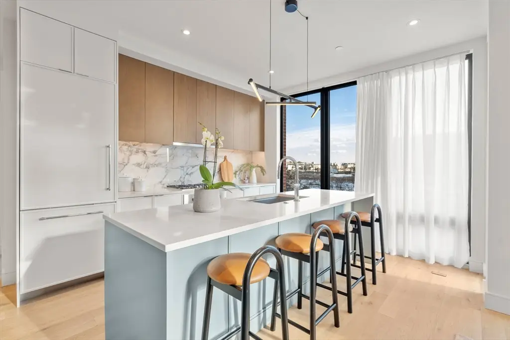 595 Albany Street #201, Boston, MA 02118 - Image #1