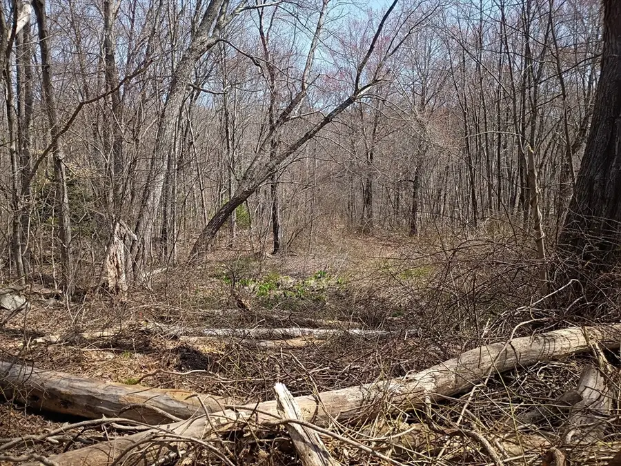 90 Chestnut Hill Road, Millville, MA 01529 - #2