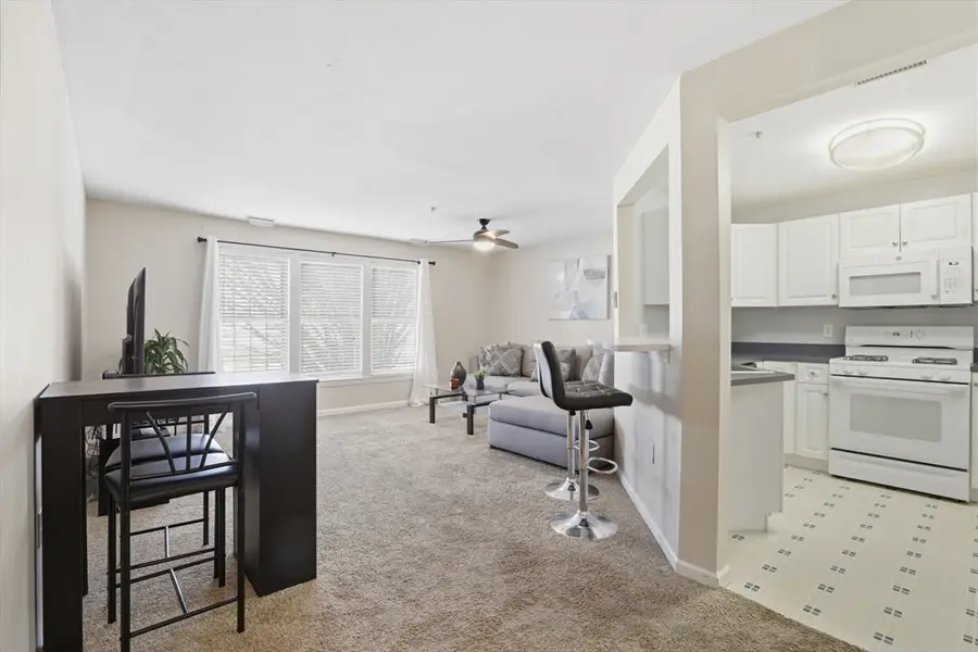 1 Riverview Blvd #8-203, Methuen, MA 01844 - #3