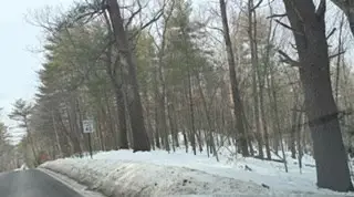 Lot B Willow Road, Boxford, MA 01921