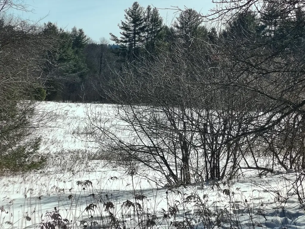 00 Capen/ Clark Road, Worthington, MA 01098 - #1