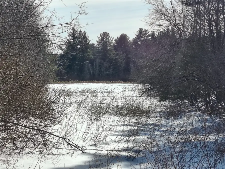 00 Capen/ Clark Road, Worthington, MA 01098 - #3