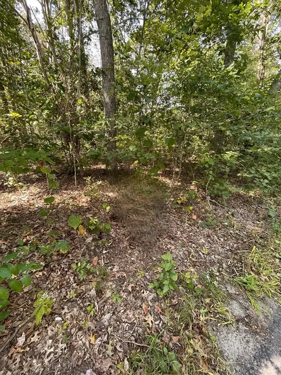 156 Rocky Hill Rd, Rehoboth, MA 02769 - #3