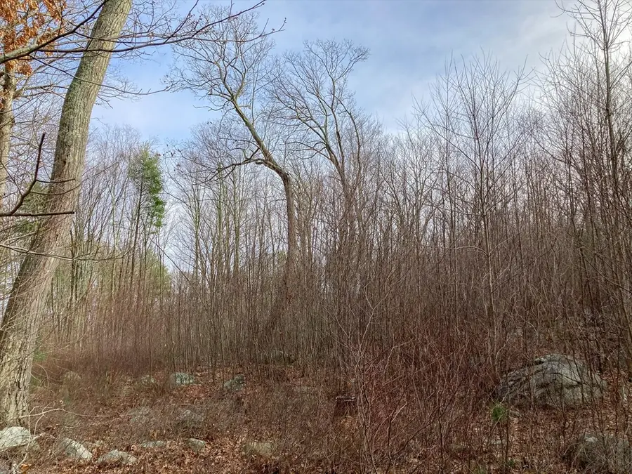 183 Blackstone St, Mendon, MA 01756 - #3