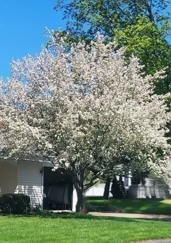 12 Tulane Rd, Danvers, MA 01923 - #2