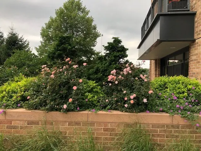 2400 Beacon #102, Chestnut Hill, MA 02467 - #2