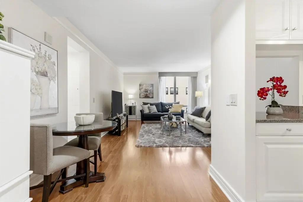 3 Avery St #502, Boston, MA 02111 - #1