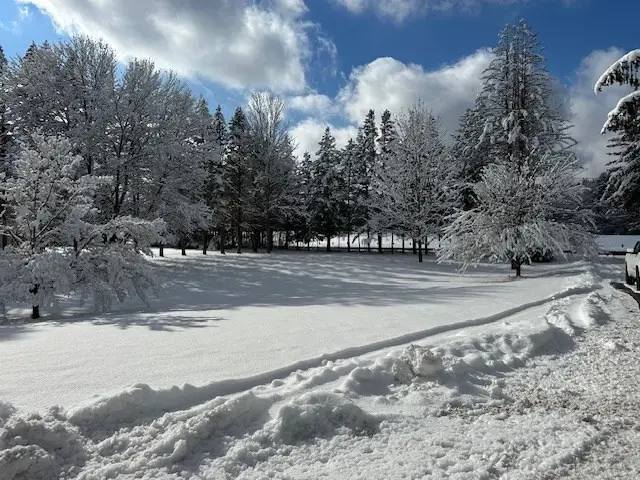 61 Fuller Rd, Palmer, MA 01069 - #1