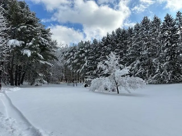 61 Fuller Rd, Palmer, MA 01069 - #2