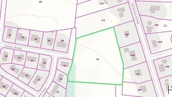 45 Ernest Street, Holbrook, MA 01803 - #3