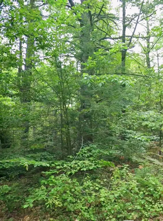 0 Irene St, Chicopee, MA 01020 - #2