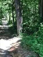 0 Auburn Road, Millbury, MA 01527 - #3