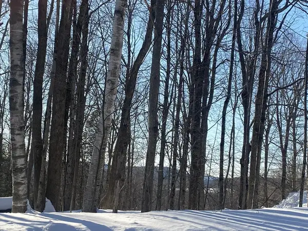 Lot 15 Colebrook River Rd, Tolland, MA 01034