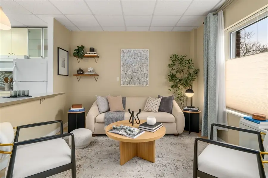 22 Chestnut Pl #M3, Brookline, MA 02445 - #3