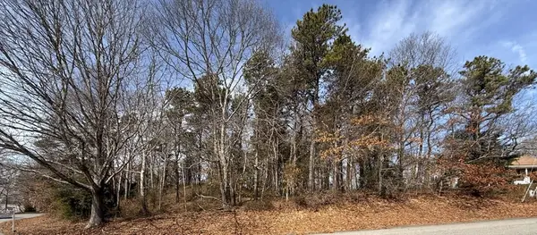 1 Luigi, Bourne, MA 02562