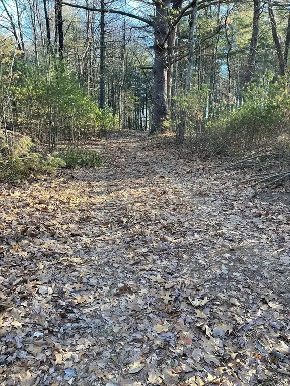 Lot 38 Michael Sears, Belchertown, MA 01007 - #2