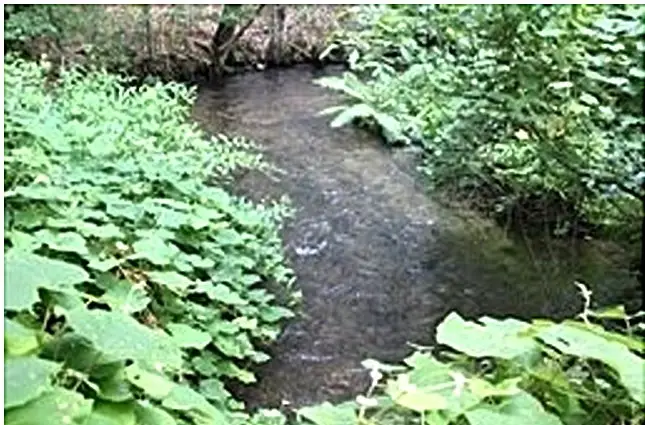 0 Wareham Road, Plymouth, MA 02360 - #2