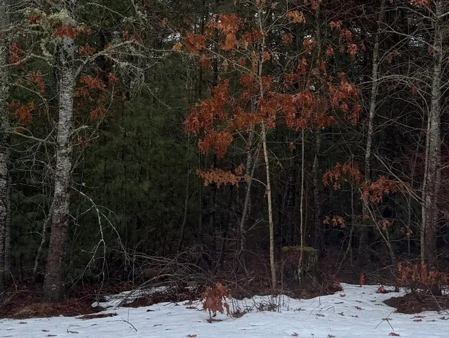 52 Cedar Dr, Carver, MA 02330 - #2